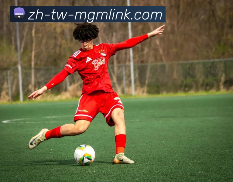 App Interface Preview